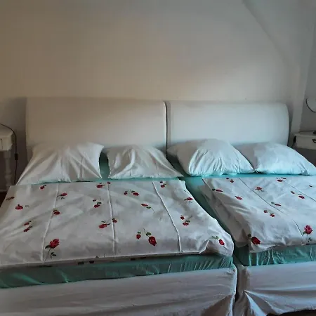 Elbblick קוניגשטיין אן דר אלבה